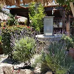 Bed & Breakfast Casa Giuliana Charco del Pino