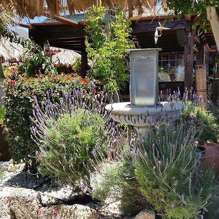 فندق مبيت وإفطار Casa Giuliana Charco del Pino