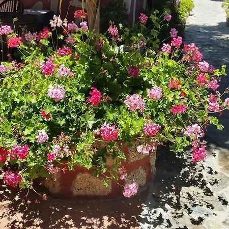 Casa Giuliana Charco del Pino